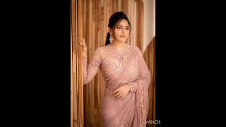 Beautiful Bridal Net Saree