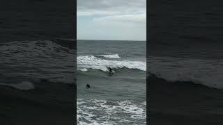 Surfers 🏄‍♂️ on Cocoa Beach December 2023 #cocoabeach #florida