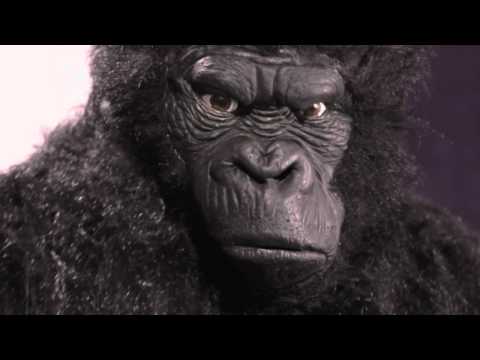 Cadburys Refresh - The Monkey Returns