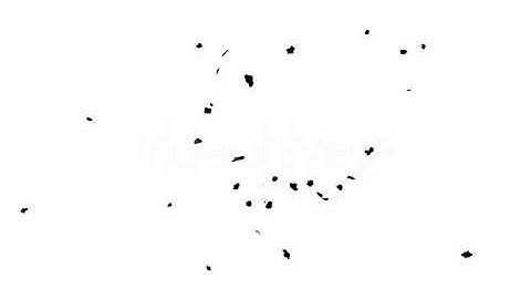 Ink Drops on Wet Paper 04 | Motion Graphics - Envato elements