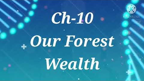 CLASS 4 Social Studies