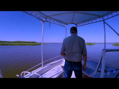 Louisiana/Texas - Swamp and River Tour - Part 2 (Song by P. Fowler, "Chasing Anonymous")
