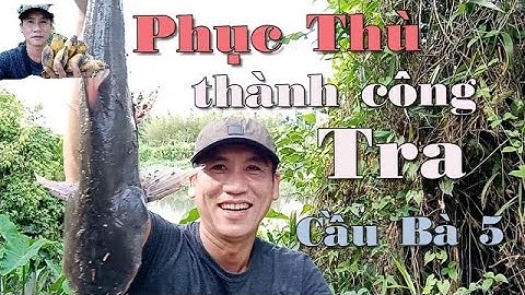 CÂU CÁ TRA BẰNG CHUỐI NHƯ THẾ NÀO?CÁI KẾT KHI MỘT MÌNH TRỞ LẠI SĂN TRA  CẦU BÀ 5 Q12 SÔNG SÀI GÒN