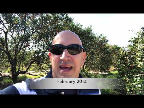 2014-vs-2019--horizon-west---winter-garden-florida