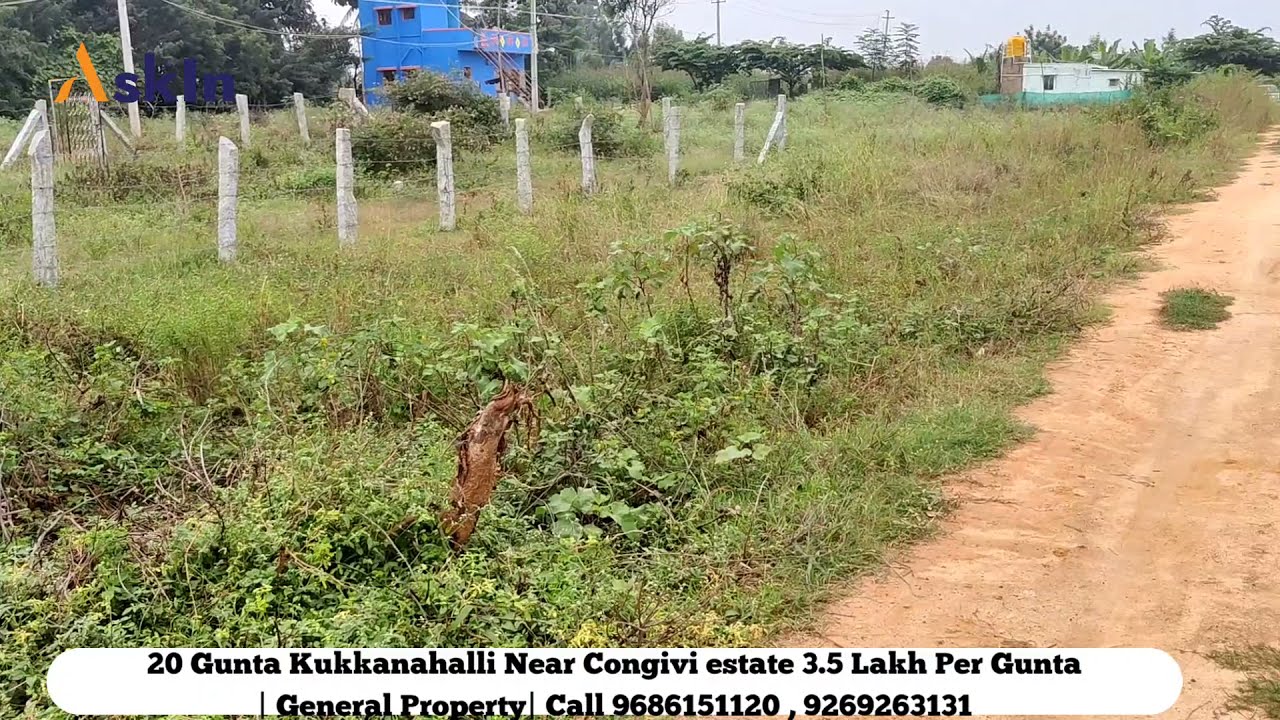 Kukkanahalli Property 20 Gunta 3.5 Lakh Per Gunta Kongovi YouTube