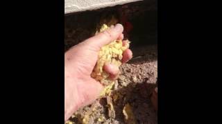 Failed Cavity Wall Insulation Extraction & Clearance - Wet Through