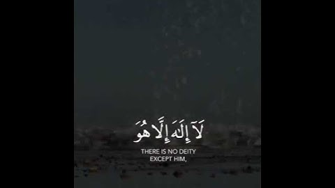 سورة المزمل الآيتان (8) وَ (9)