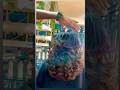indian step cut for medium hair multi step cutting in long hair global highlights #shorts #youtube