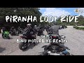 Piranha loop ride  hit and run by cows  bino motorbike rental  rider