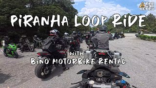 Piranha Loop Ride | Hit and run by cows | Bino Motorbike Rental | #rider