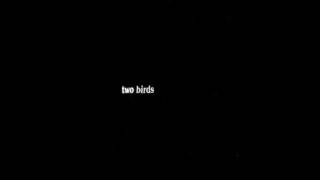 Two birds on a wire by Regina Spektor :: lyric overlay