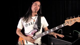 bg250 combo bass amp - tubedrive