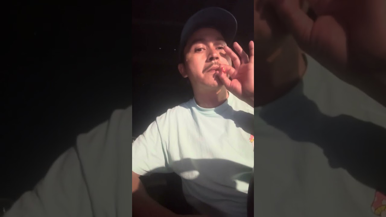 Stiiizy new 40s pre rolled blunts infused Review 