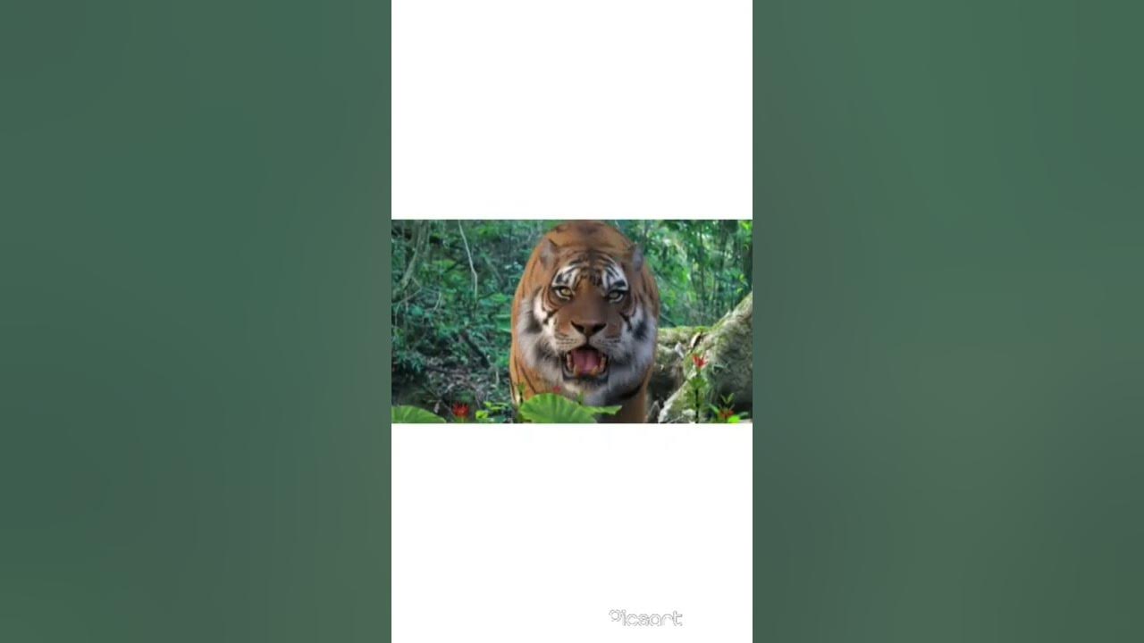 The Taking Of Tiger Mountain-The Best Tiger Scene | hollywood new movie 2022 | new south movie 2022