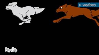 Wolf Animation Test