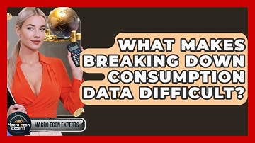 What Makes Breaking Down Consumption Data Difficult? - Macroecon Experts
