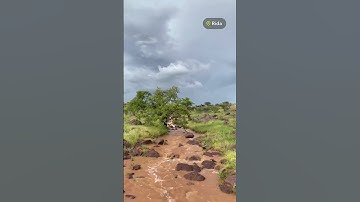 تلاوة شنقيطية أصيلة #موريتانيا