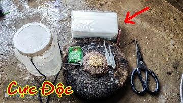 Nếu Ai Biết Bài Mồi Cắm Câu Ếch Này Thì Chắc Chắn Là Cao Thủ Rồi