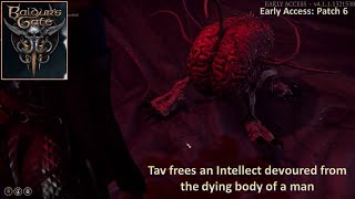 [*/\*] Baldur's Gate 3 - Tav frees an Intellect devourer from the dying body of a man (Patch 6)