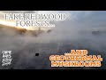 Fake Redwood Forests & Geothermal Mushrooms