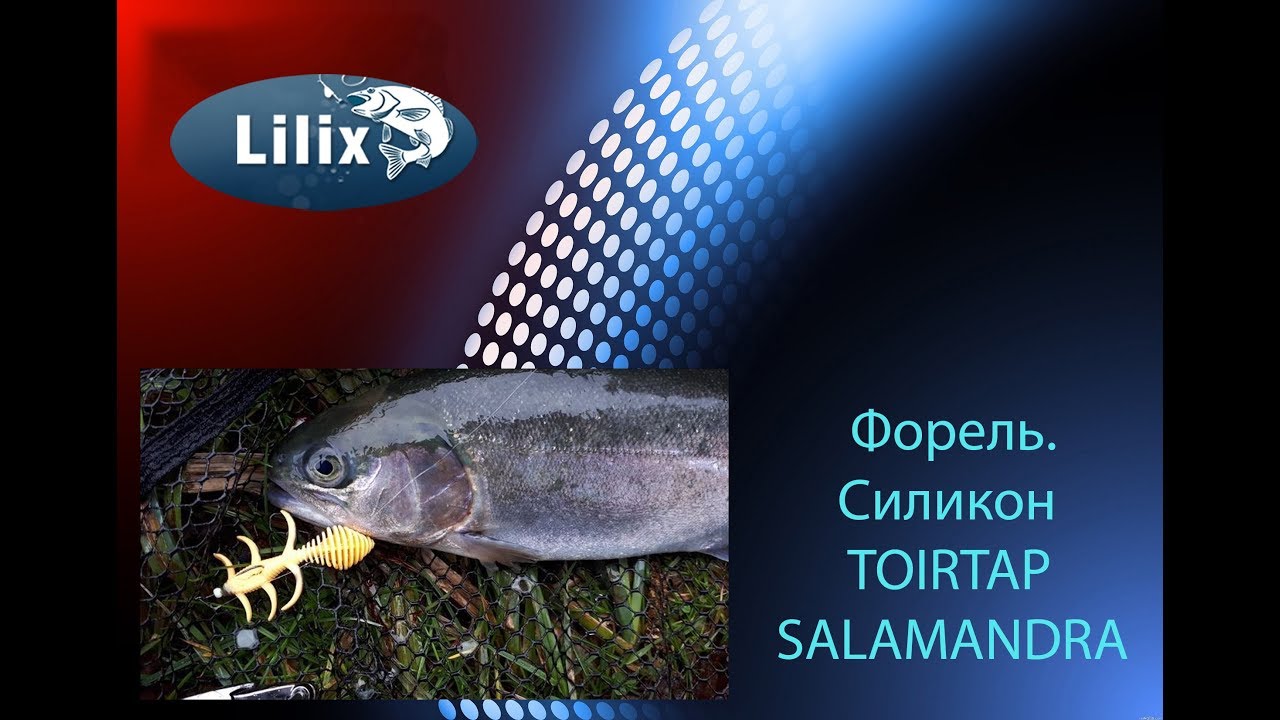 Форель. Силикон Toirtap и Salamandra