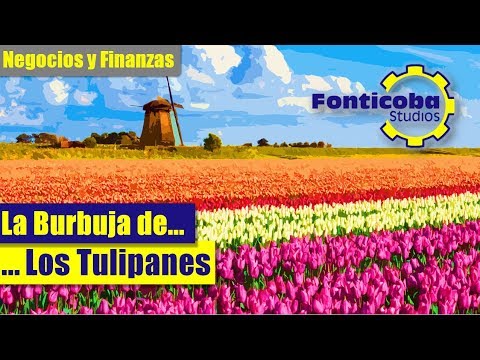 Video: ¿Qué son los tulipanes de Rembrandt? Aprenda sobre la historia de los tulipanes de Rembrandt