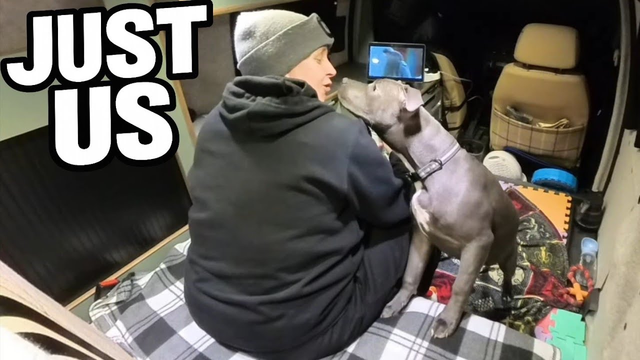 It Didn’t Go to Plan — Just Me, My Dog & the Van