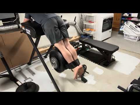 Reverse hyperextension 220lbs for ~15