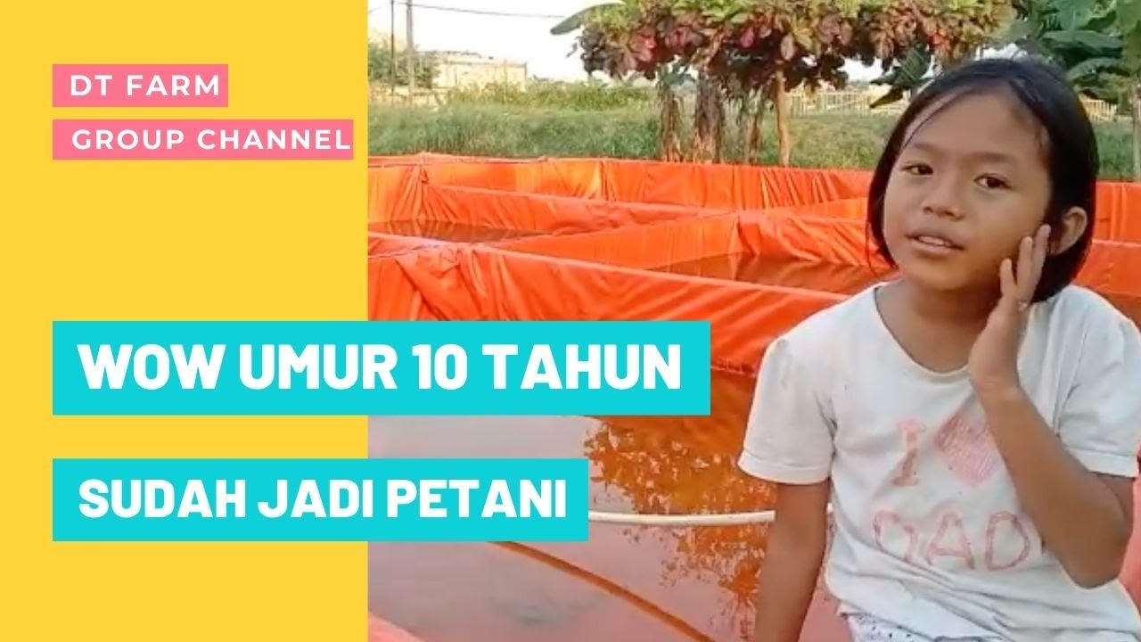 Keseruan Petani Cilik Main Ke Kolam DT Farm Group (Official Video)