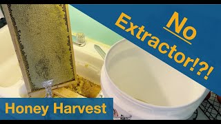 No Extractor Get honey anyways!