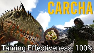 ARK EASY CARCHARODONTOSAURUS TAME
