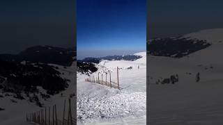 POV: Skiing with friends… then THIS view 😍 #shorts #ski #snow #winter #mountains #pov
