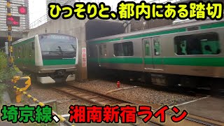 【意外な場所の踏切】JR埼京線･湘南新宿ライン  長者丸踏切  走行シーン