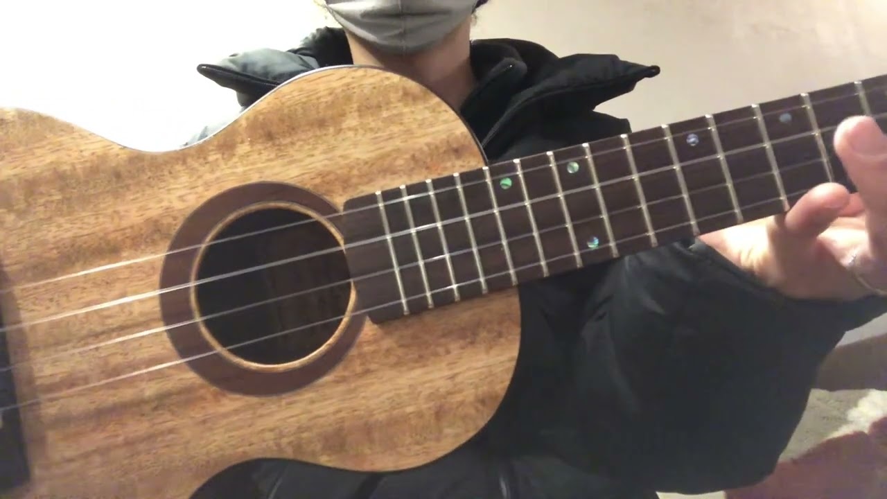 Heritage ukulele コンサートウクレレ custom concert Lahaina Mango