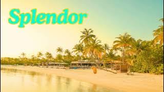 🌴 Tatsuro Yamashita - Splendor 🌊