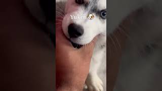 @YouTube