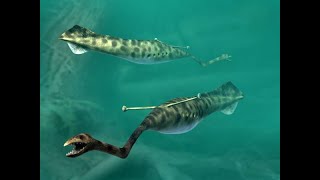 What in the world is the Tully Monster? screenshot 4