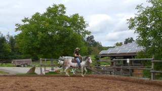 DSCN2101.avi