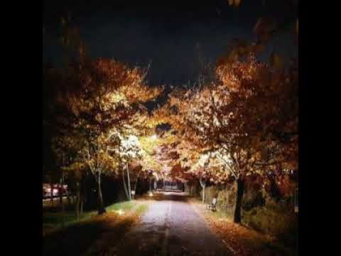 [TJ노래방라운지] 별(미녀는괴로워OST) - 유미