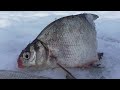 Мы не за рыбой, а на РЫБАЛКУ. Истра 01 03 25