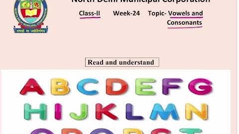 Class 2 English | Vowels and Consonants | Week 24 | FirstStep | worksheet solution