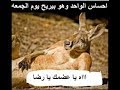 الام المفاصل(اه يا عضمك يا رضا)