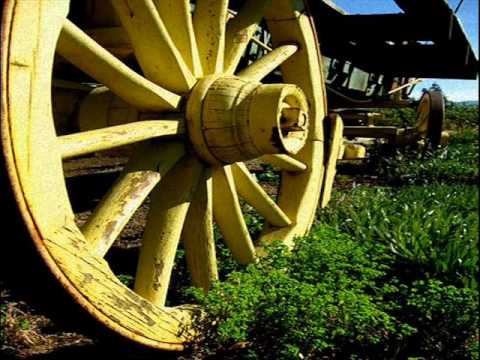 André Brasseur — Yellow Wheel - André Brasseur