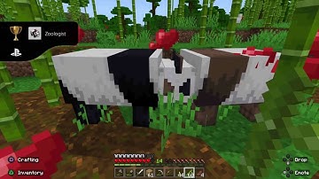 Minecraft_20221127145429