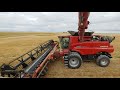 🔴Live! CASE IH 8250 Demo - Welker Harvest 19