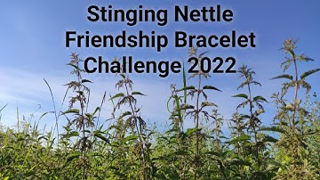 Stinging Nettle Friendship Bracelet Challenge