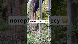 потерялся в лесу, встретил вот такое существо. оно еще и поёт... #социальнаядрама #snippet #музыкант