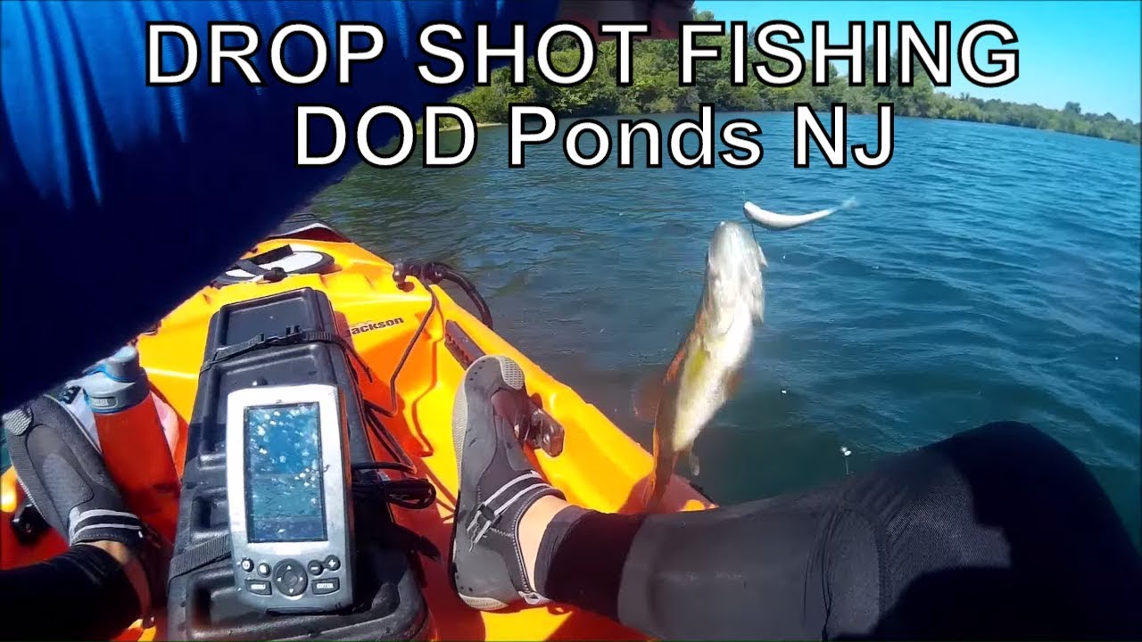 DROP SHOT FISHING DOD Ponds NJ YouTube