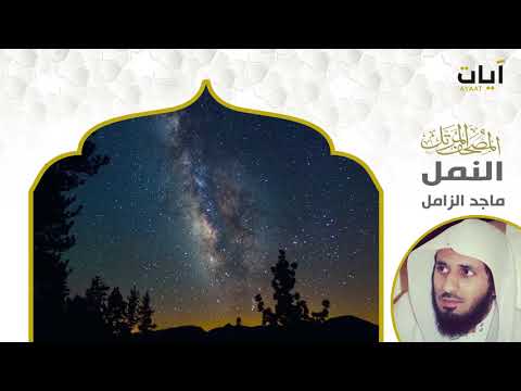 المصحف المرتل ماجد الزامل سورة النمل