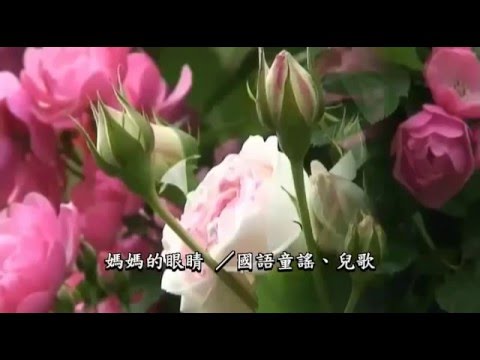 媽媽的眼睛   -   國語童謠、兒歌  -  儿童音乐